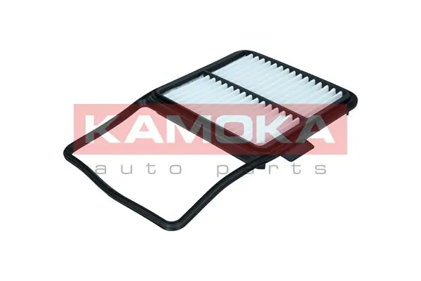 F254501 Kamoka