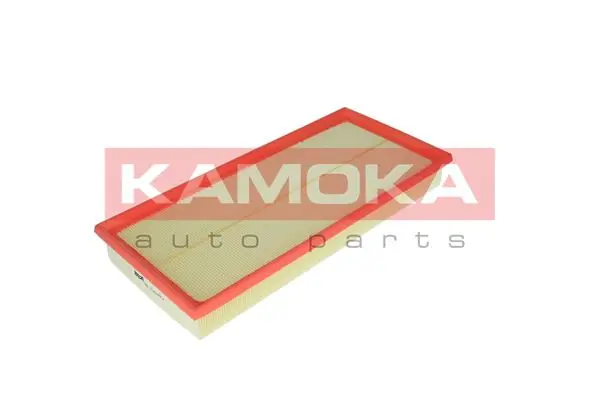 F219901 Kamoka