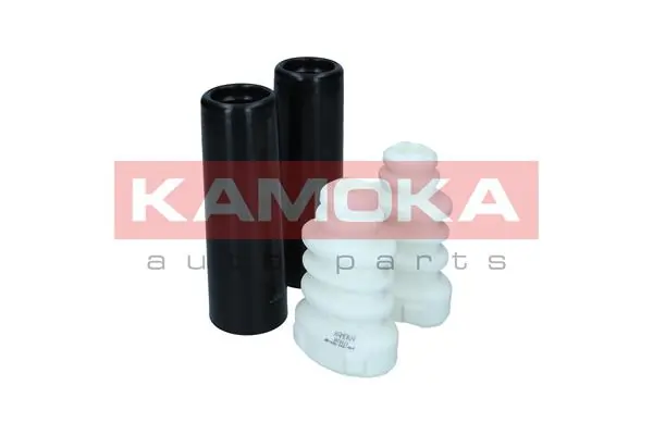 2019111 Kamoka