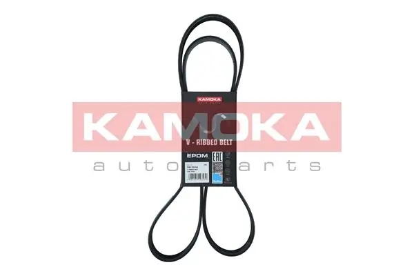 Pas napędowy mechanizmów Nissan JUKE JPN