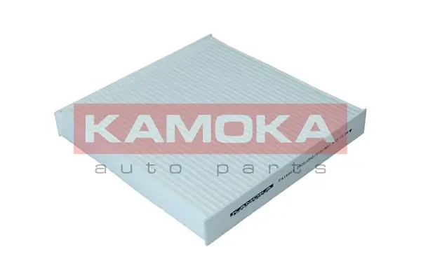 F419901 Kamoka