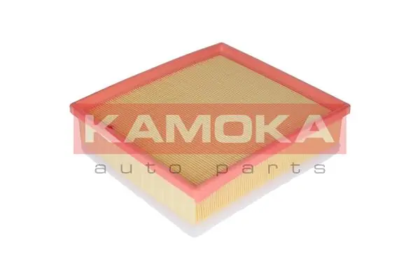 F218301 Kamoka