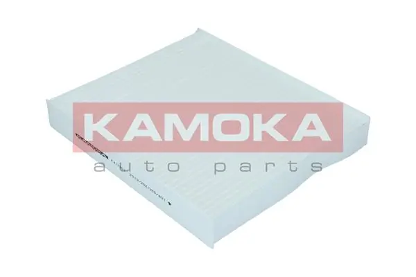 F417301 Kamoka