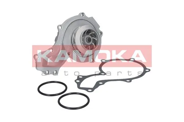 T0037 Kamoka