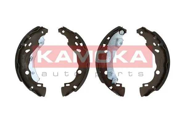 JQ202045 Kamoka