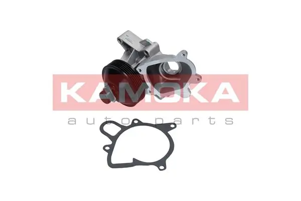 T0064 Kamoka