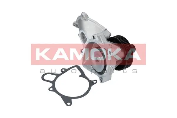 T0063 Kamoka
