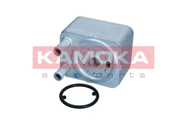 7730015 Kamoka