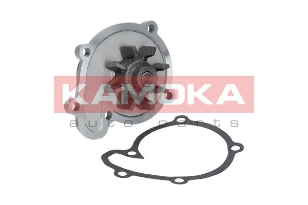 T0217 Kamoka