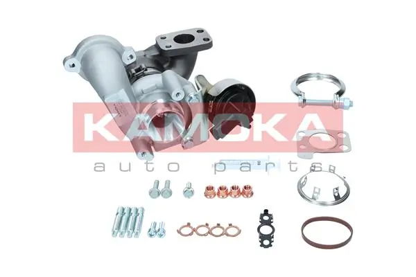 9842096580 Peugeot/Citroen Turbina