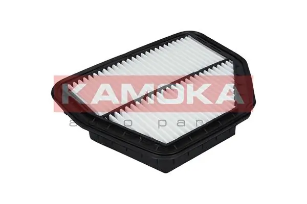 F226901 Kamoka