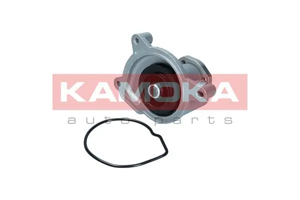 T0021 Kamoka