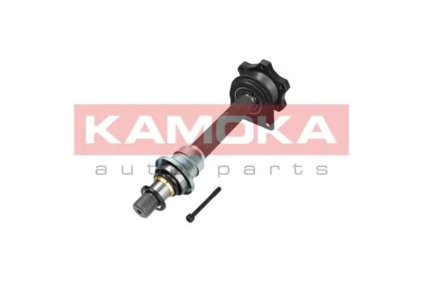 VW111003 Kamoka
