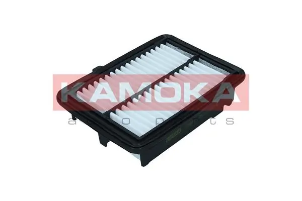 F238401 Kamoka