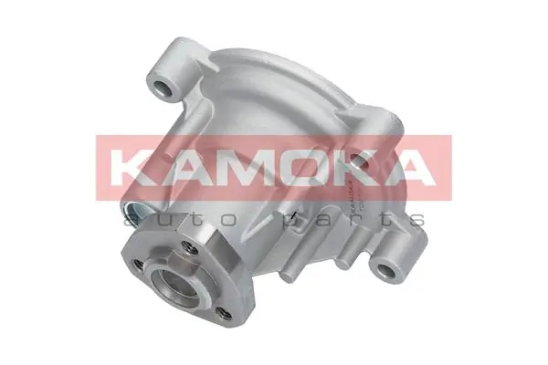 T0272 Kamoka