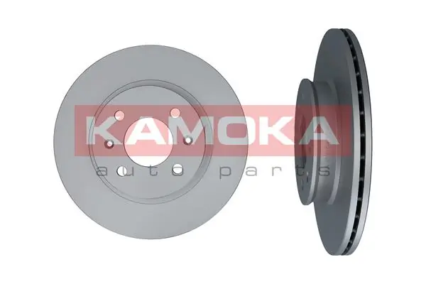 103209 Kamoka