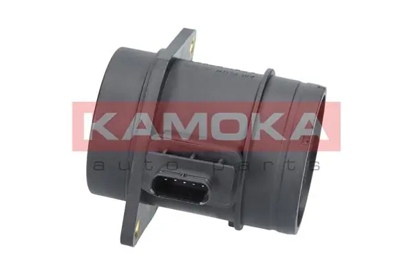 18038 Kamoka