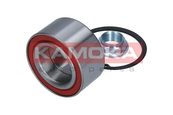 5600079 Kamoka
