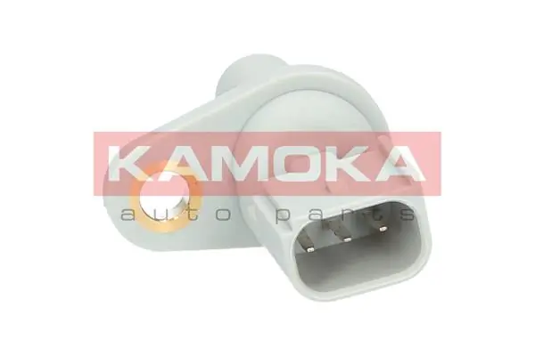 108011 Kamoka
