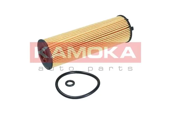 Do koszyka 2582474 Ford Filtr oleju