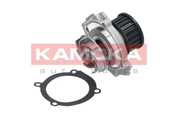 T0114 Kamoka