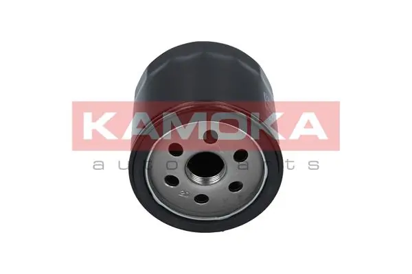 F102901 Kamoka