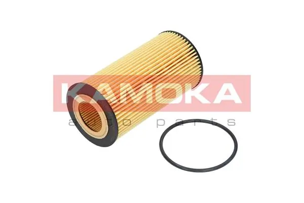 F110101 Kamoka