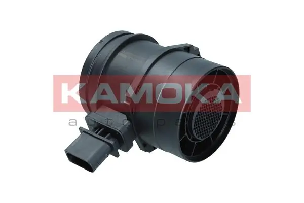 18053 Kamoka