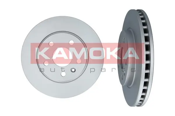 103119 Kamoka