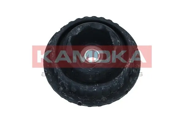 209073 Kamoka