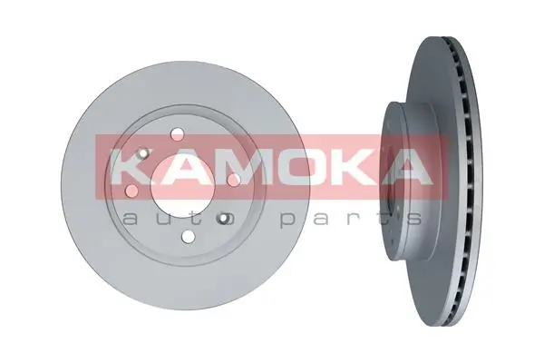 103207 Kamoka