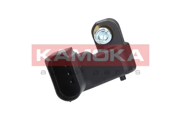 109023 Kamoka