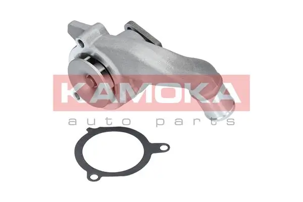 T0133 Kamoka