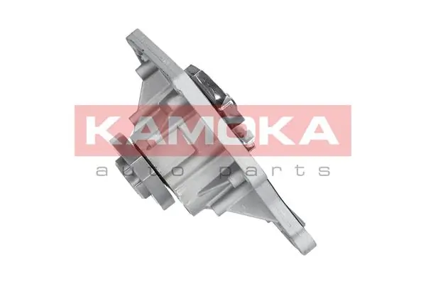 T0035 Kamoka