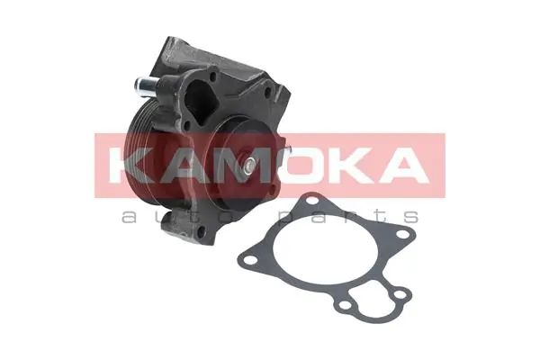 T0097 Kamoka