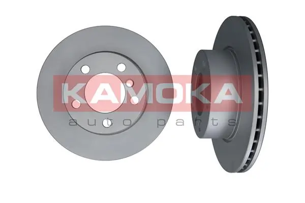 103231 Kamoka