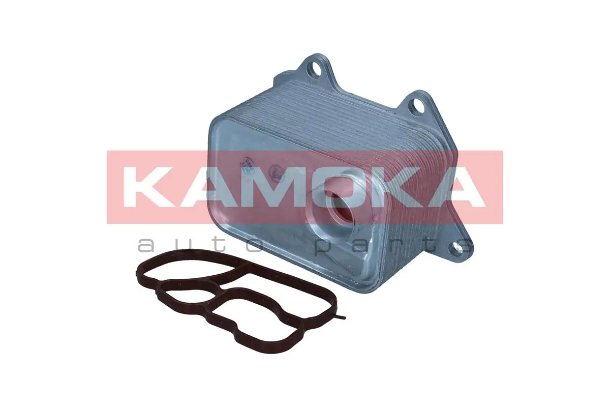 7730090 Kamoka