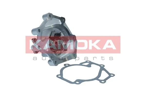 T0308 Kamoka