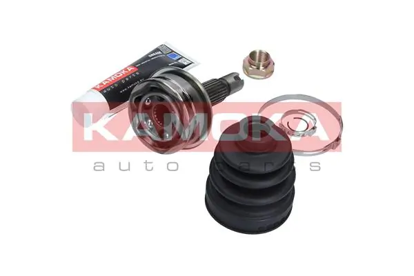 6067 Kamoka