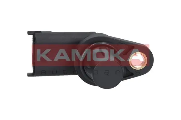 108030 Kamoka