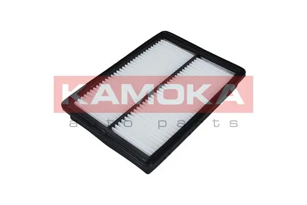 F238901 Kamoka