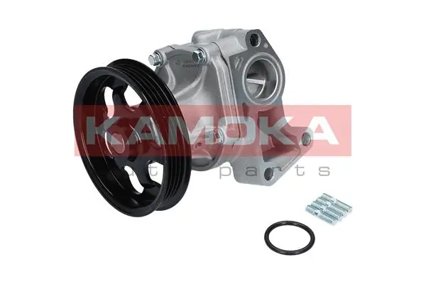 T0266 Kamoka