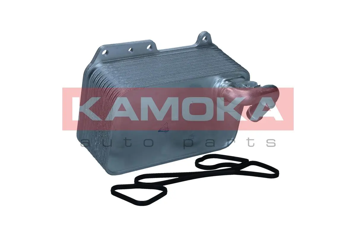 7730064 Kamoka