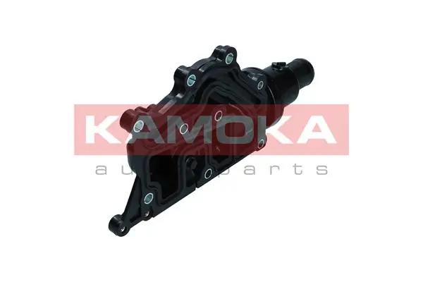 7710209 Kamoka