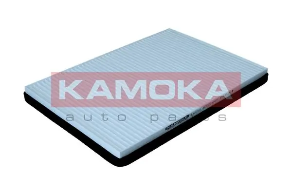 F428301 Kamoka