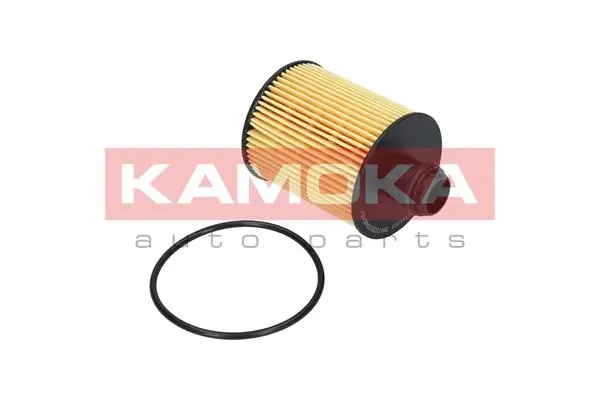 F111701 Kamoka
