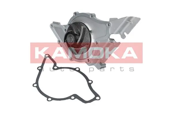T0039 Kamoka