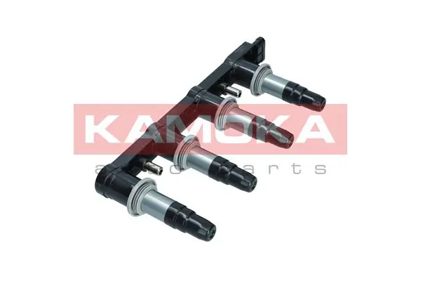 7120023 Kamoka
