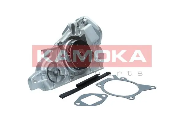 T0177 Kamoka