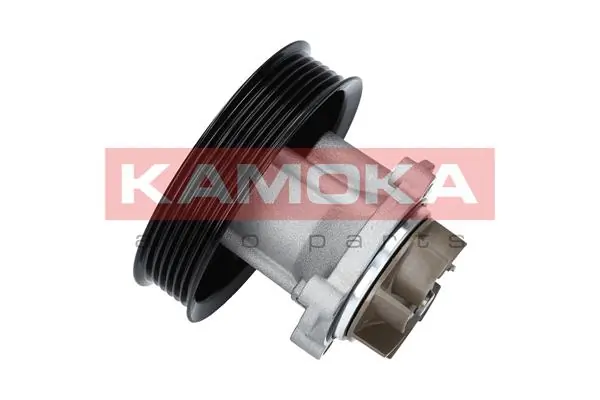 T0014 Kamoka